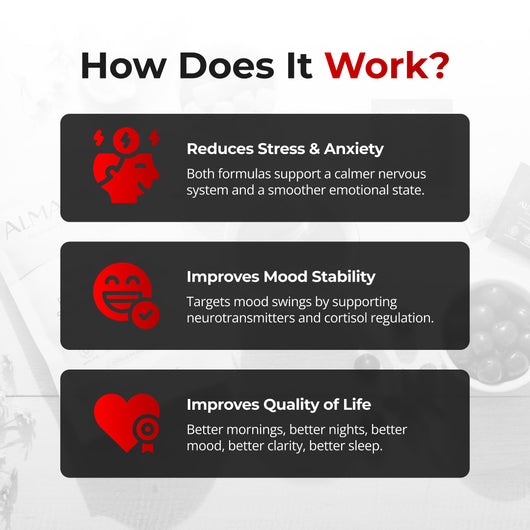 Perimenopause Balance Kit